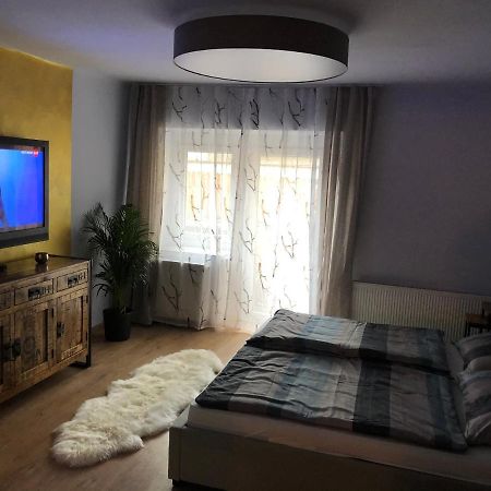 Wohlfuehlappartment In Der Altstadt Von Steyr Extérieur photo